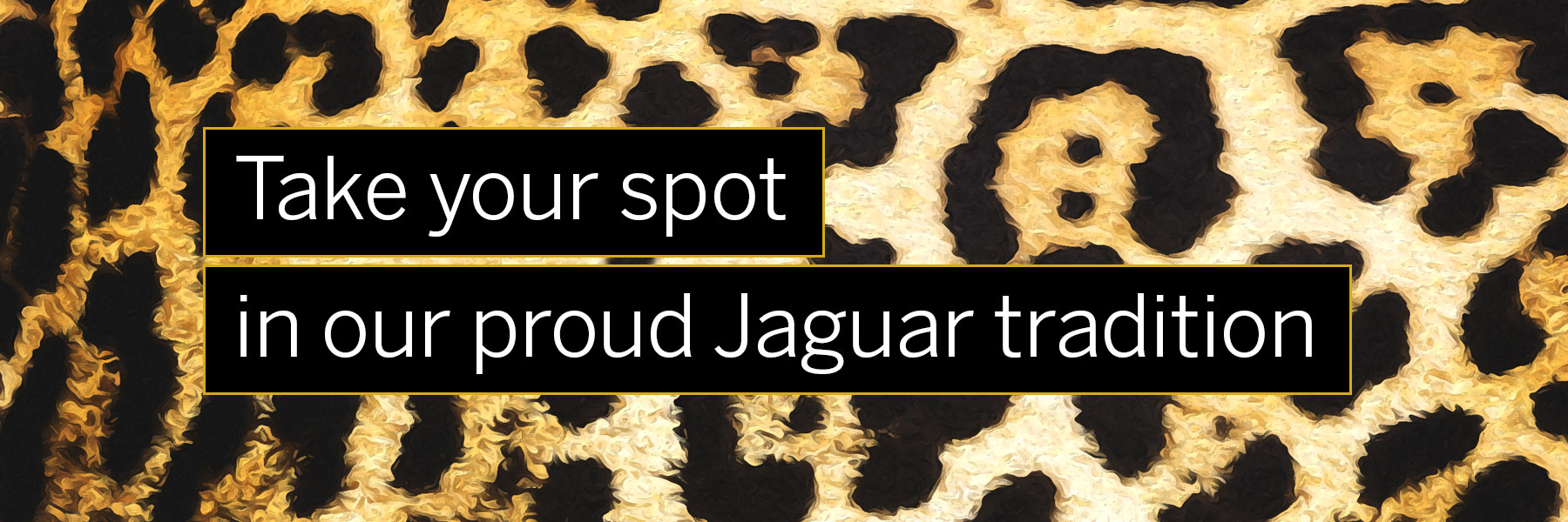 Take your spot in our proud Jaguar tradition